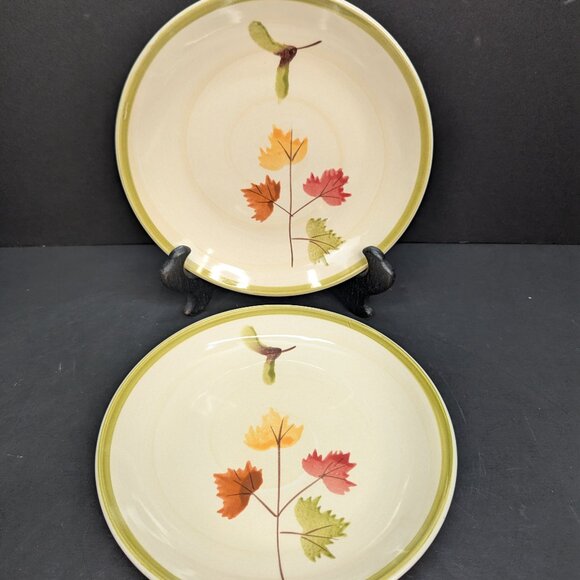 JR2 Fall Maple Leaf and Seed Whirligig Design Stoneware 7 3/4" Salad Plate Lot 2 - Picture 1 of 8